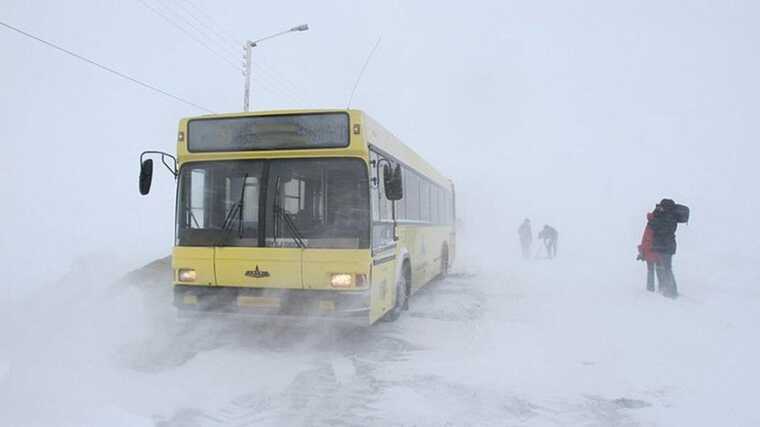 В Новосибирской области 12-летнего ребенка высадили из автобуса на 30-градусный мороз