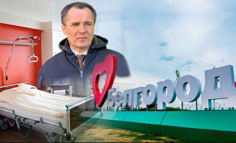 Разворошил гнездо: как пиарщики "отравили" губернатора Гладкова