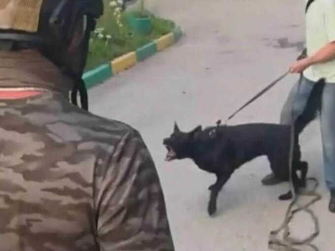 Российский наркодилер спустил агрессивную собаку на полицейских при задержании
